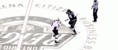 Ontario Reign Cleveland Monsters GIF - Ontario Reign Cleveland Monsters Fight GIFs