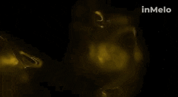 a close up of a glowing object on a black background with the words `` inmelo '' on the bottom .