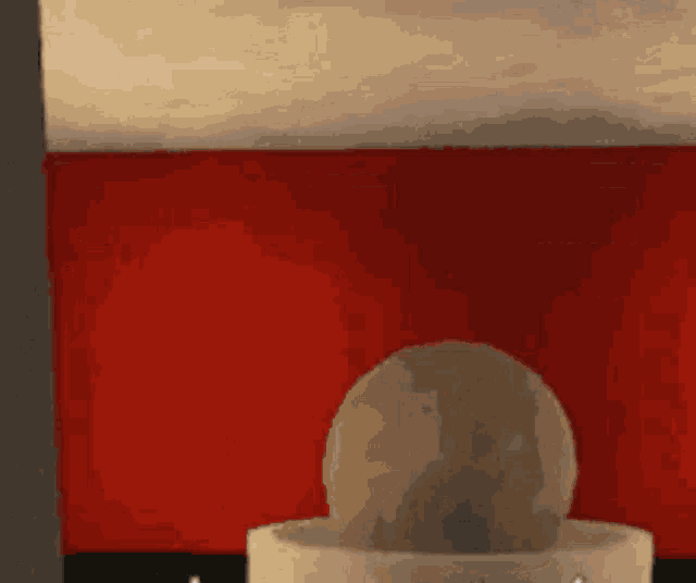 a ball is sitting in a white bowl in front of a red and white wall