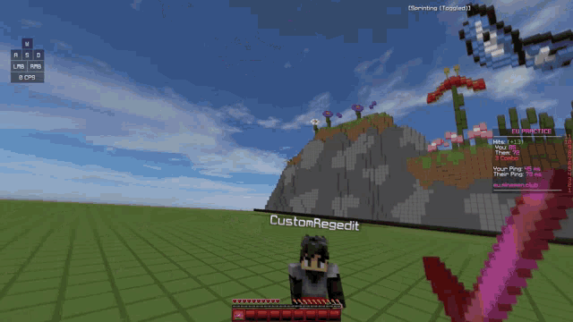 a screenshot of a minecraft game with the name customregedit on it