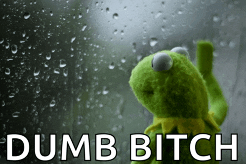 a kermit the frog looking out a window with the words dumb bitch above him