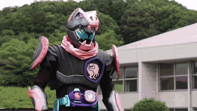 a person in a costume with a helmet and a belt with a lion on it