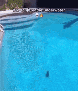 a person is swimming underwater with a skull and fire emoji