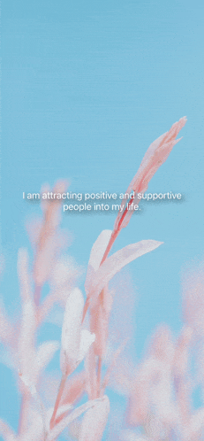a blue background with pink flowers and the words " i am attracting positive and supportive people into my life " on top