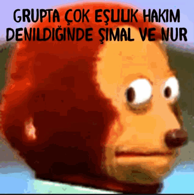 a close up of a monkey 's face with the words grupta çok esuluk hakim denildiginde simal ve nur