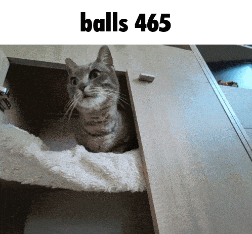 a cat is sitting in a closet with the words balls 465 above it