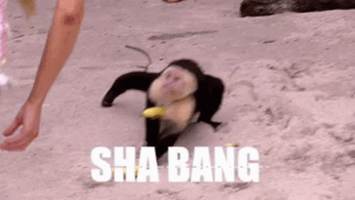 Sha Bang Monke GIF - Sha Bang Monke Monkey GIFs