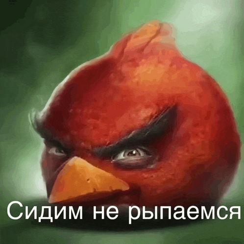 a painting of an angry bird with a caption in another language