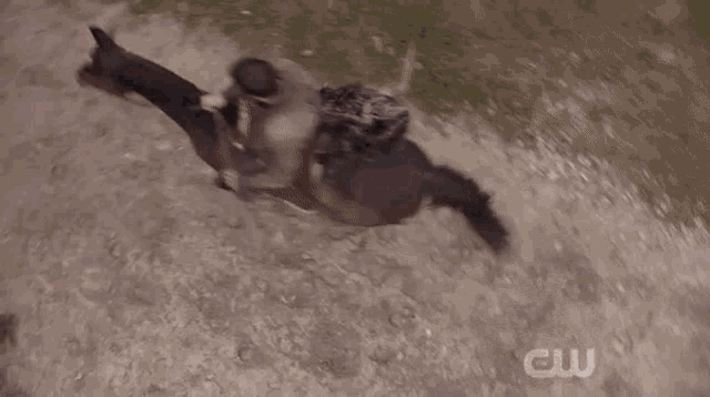 a man riding a horse through a gate with the letters cw on the bottom