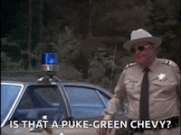 a police officer is standing in front of a police car and asking is that a puke green chevy