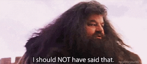 Hagrid Harry Potter GIF - Hagrid Harry Potter I Should Not Have Said That GIFs