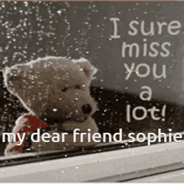 a teddy bear is looking out a window with the words " i sure miss you a lot my dear friend sophie "