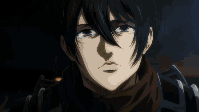 Eren Mikasa GIF - Eren Mikasa Shingeki No Kyojin GIFs