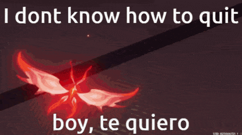 a poster that says i dont know how to quit boy, te quiero