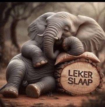 two elephants are sitting next to a wooden sign that says lekker slaap