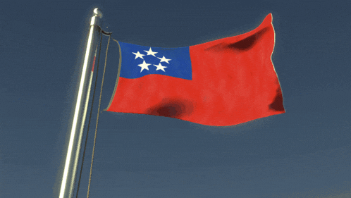 a red and blue flag with five white stars on it