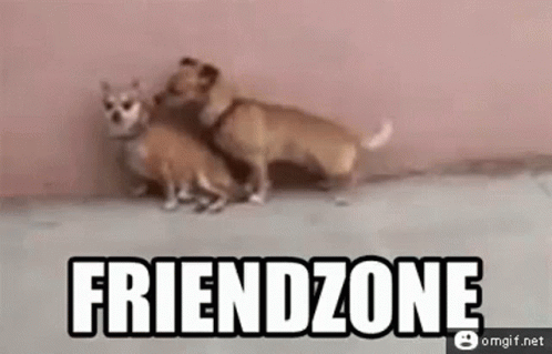Humpday Friendzone GIF - Humpday Friendzone Dog GIFs