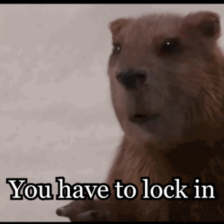 a close up of a beaver with the words `` you have to lock in ''