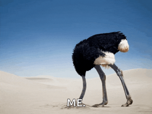 an ostrich with its head in the sand with the word me below it