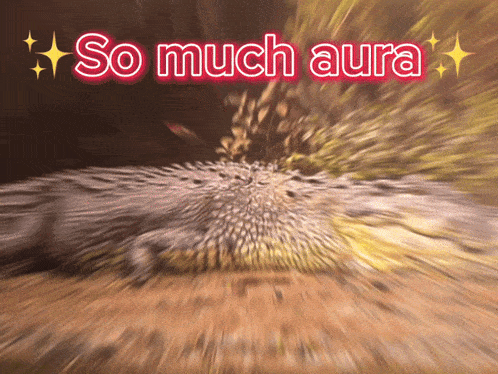 a blurry picture of a hedgehog with the words so much aura above it