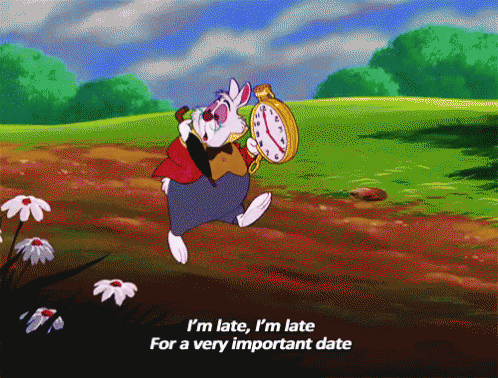 Rabbit Late GIF - Rabbit Late Late GIFs