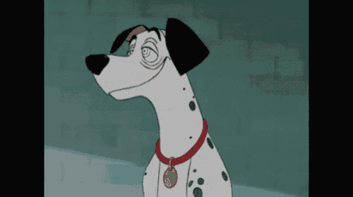 a dalmatian dog is wearing a red collar and a yellow tag