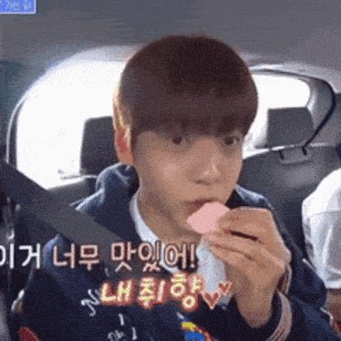 a young man is sitting in the back seat of a car eating a piece of food .