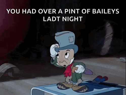 a cartoon character with the words you had over a pint of baileys last night