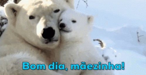 Bom Dia Mãe, Bom Dia Mãezinha / Urso / Fofura GIF - Polar Bear Good Morning Mom And Baby GIFs