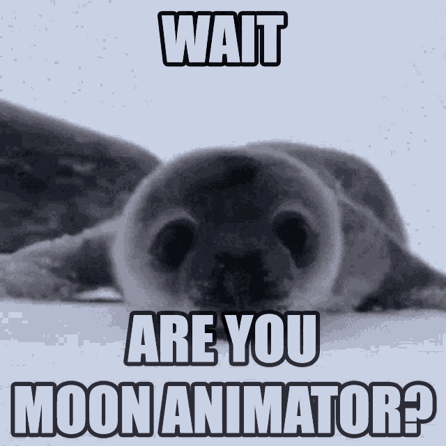 Seal Moon Animator GIF - Seal Moon Animator Cute GIFs