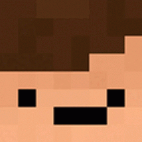 Sheavies Minecraft GIF