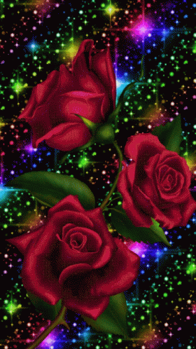 Great Morning Roses GIF