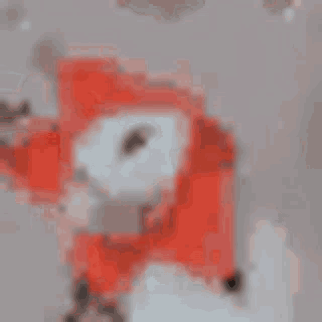 a blurry picture of a cat with red hair and a white face .