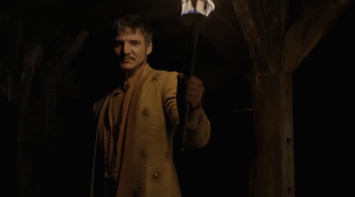 I Will Be Your Champion - Game Of Thrones GIF - I Will Champion Game Of Thrones GIFs