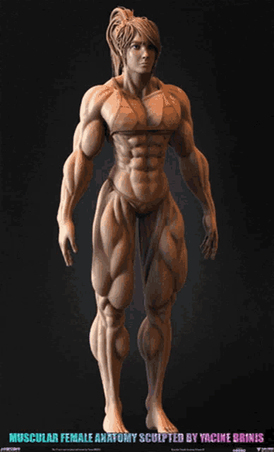 muscular female anatomy sculpted by yacine brines on a dark background