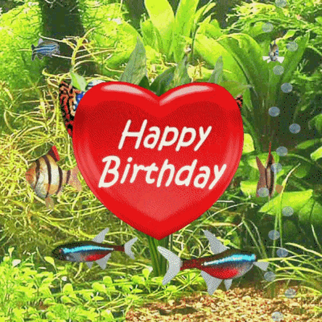 Happy Birthday Birthday Heart GIF - Happy Birthday Birthday Heart Birthday Aquarium GIFs