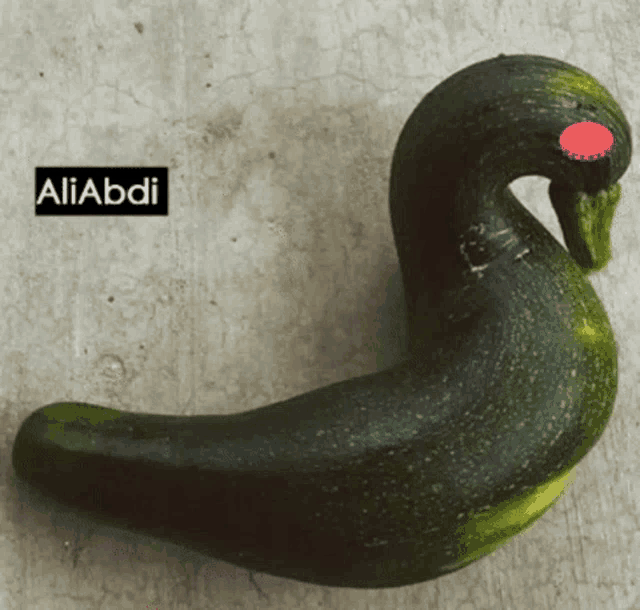 a picture of a duck shaped zucchini with the name aliabdi on it