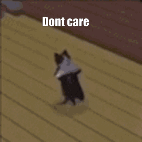 Don'T Care Breakdance Cat GIF - Don'T Care Breakdance Cat GIFs