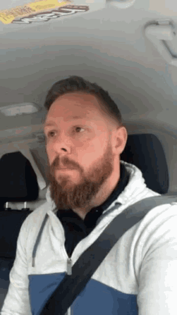 a man with a beard is sitting in the back seat of a car with a seat belt on