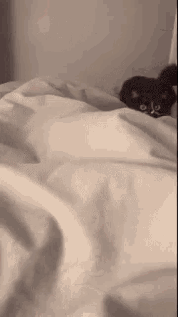 a black cat is laying on a bed with white sheets and looking at the camera .