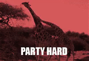 Party Hard GIF - Giraffe Partyhard GIFs