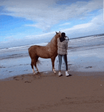 a person standing next to a brown horse on a beach