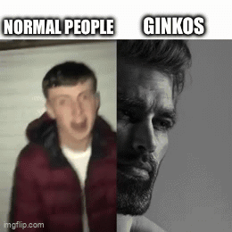 Ginkos Normal People GIF - Ginkos Normal People Giga Chad GIFs