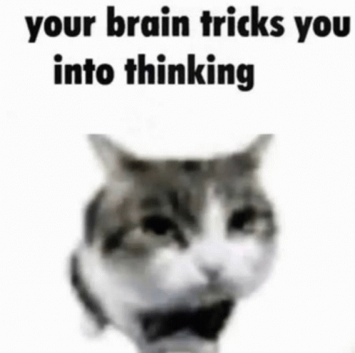 Your Brain Tricks You Into Thinking GIF - Your Brain Tricks You Into Thinking Your Brain Your Brain Tricks You GIFs