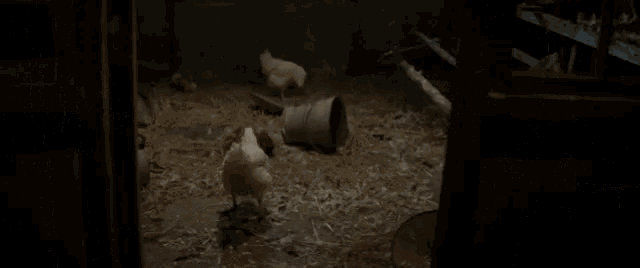Chicken Men GIF - Chicken Men Transubstation GIFs