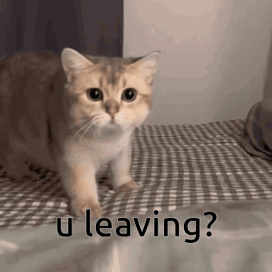Why Are You Leaving Sad GIF - Why Are You Leaving Sad Sad Cat GIFs