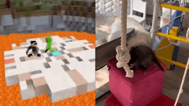 a screenshot of a video game and a picture of a cat sitting on a pink box .