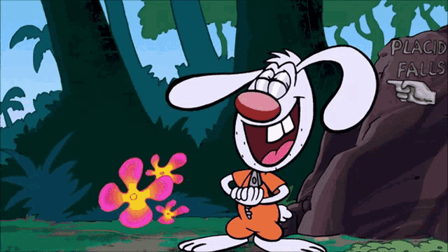 Cartoon Brandy And Mr Whiskers GIF