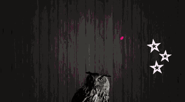 an owl stands in front of a sign that says " eternal unity "