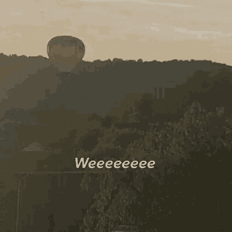 a hot air balloon is flying over a forest with the words weeeeeee written below it